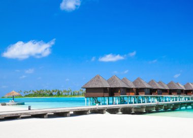 Maldivler 'deki tropik plaj