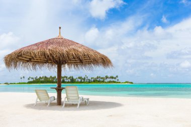 Şezlonglar ve palmiye ağaçları