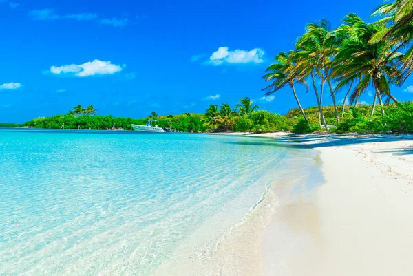 Mooi strand en tropische zee — Stockfoto