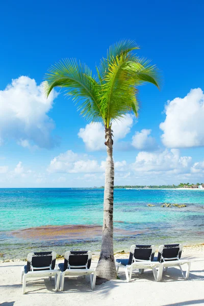 Playa y mar tropical — Foto de Stock