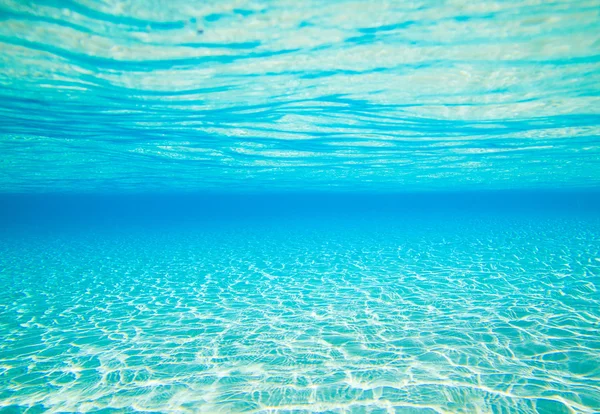 Beautiful underwater scene — Stock Photo, Image