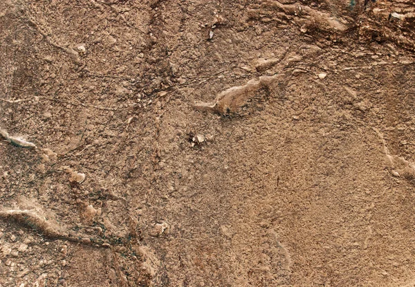 Textura de pedra de areia — Fotografia de Stock