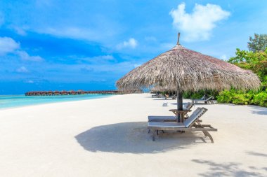 plaj ve tropikal deniz