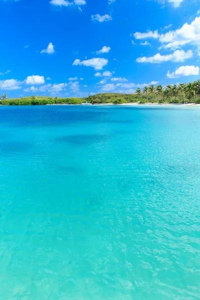 Strand und tropisches Meer — Stockfoto