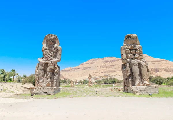 Two statues of Pharaoh Amenhotep II — Stock Photo, Image