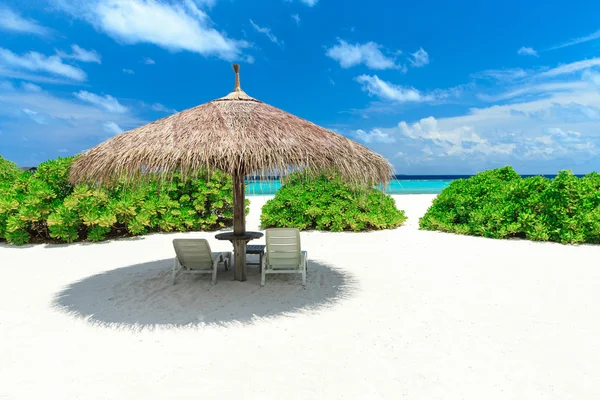 Tropical beach in Maldives — Stock Photo, Image