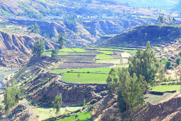 Prachtige landschap in de Andes — Stockfoto