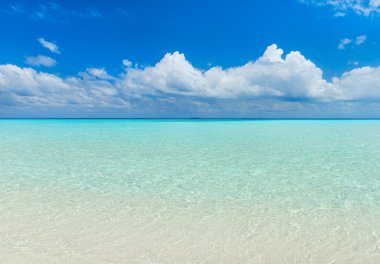 plaj ve tropikal deniz