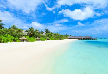 Maldivler 'deki tropik plaj