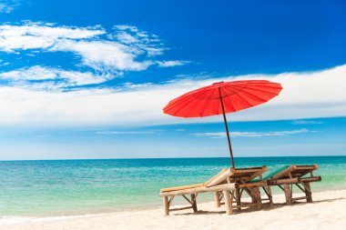 plaj ve tropikal deniz