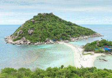 plaj ve tropikal deniz