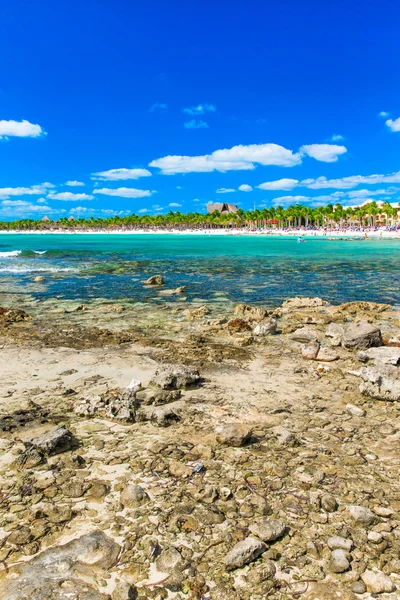 Plage et mer tropicale — Photo