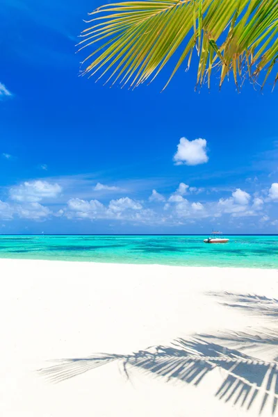 Spiaggia tropicale, Maldive — Foto Stock