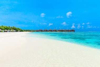 Maldivler 'deki tropik plaj