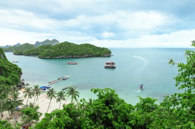 Güzel sahil ve tropikal deniz