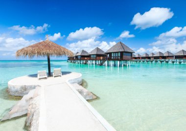 plaj ve tropikal deniz