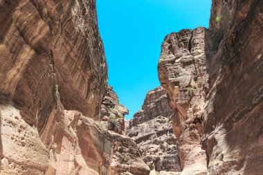 Siq dar yuvası Kanyon
