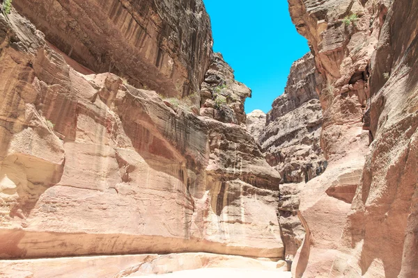 Siq dar yuvası Kanyon