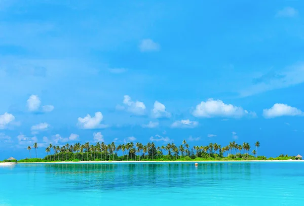 Tropisk strand på Maldivene – stockfoto