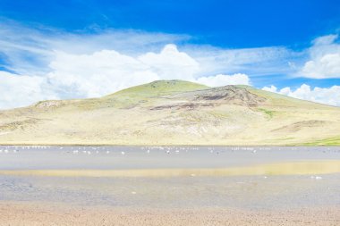 Andes güzel manzara