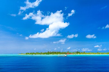 Maldivler 'deki tropik plaj