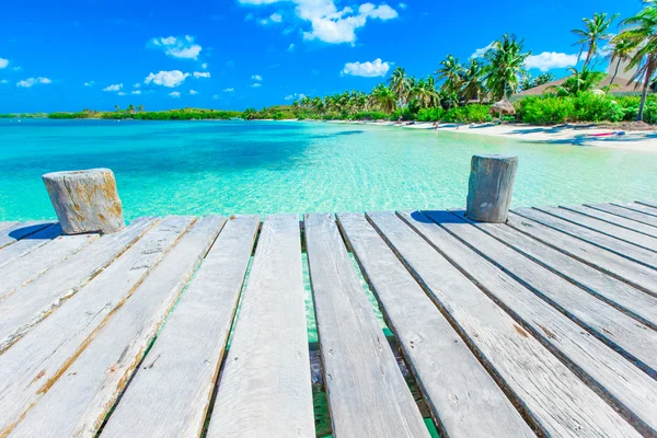 Brug op het tropische strand — Stockfoto