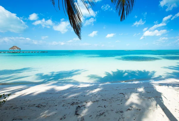 Strand und tropisches Meer — Stockfoto