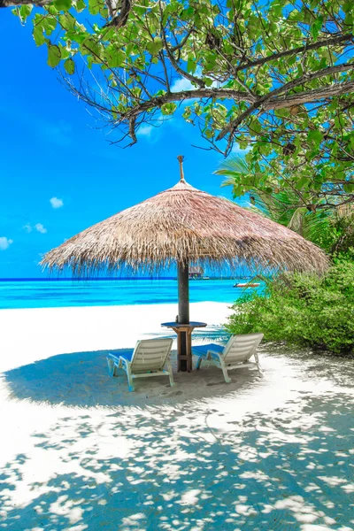 Spiaggia tropicale alle Maldive — Foto Stock