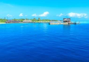 Maldivler 'deki tropik plaj