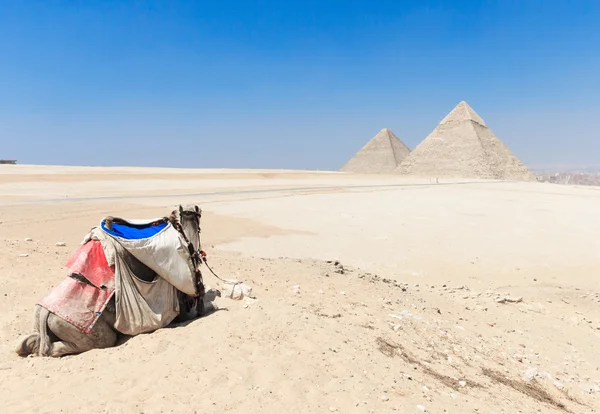 Ancient pyramids in Cairo — Stock Photo, Image