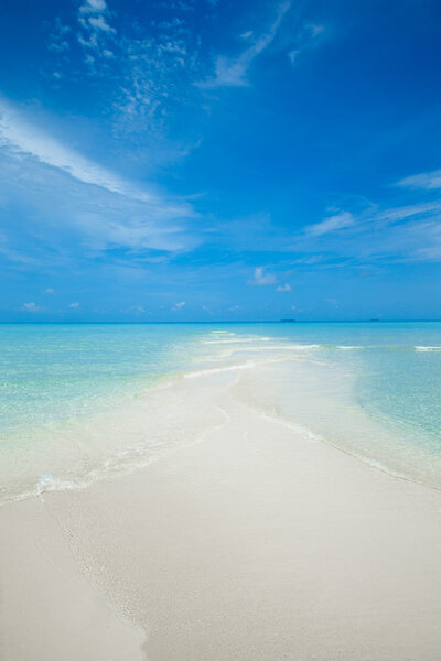 Роскошный тропический пляж
