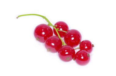 Olgun kırmızı kuş üzümü