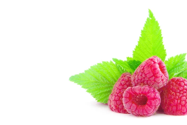 Ripe sweet raspberries — Stock Photo, Image