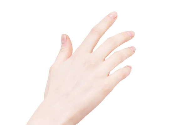 Close-up of female hand — Stock Photo, Image