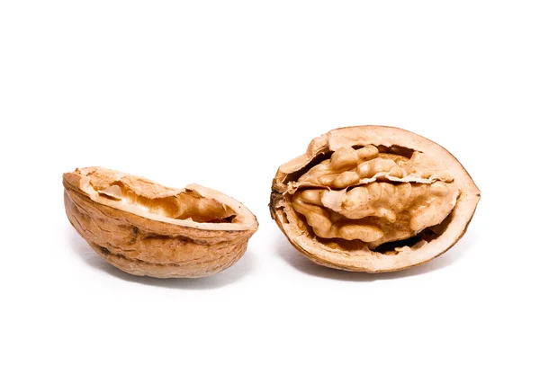 Close-up of open walnut — Stock Photo, Image