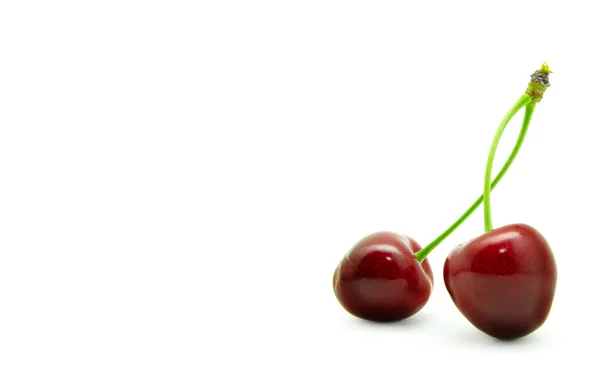 Two sweet cherries — Stockfoto