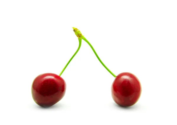 Two sweet cherries — Stockfoto
