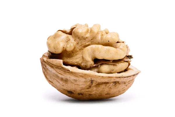 Half of open walnut — Stock Photo, Image