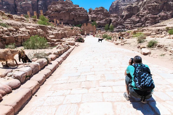 Deserto jordaniano em Petra — Fotografia de Stock