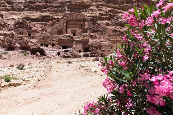 Jordanska öknen på Petra — Stockfoto