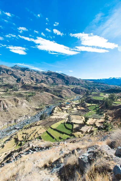 Vackra landskapet i Anderna — Stockfoto