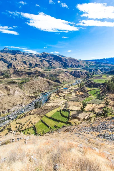 Prachtige landschap in de Andes — Stockfoto