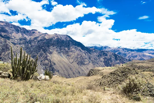 Bela paisagem em Andes — Fotografia de Stock