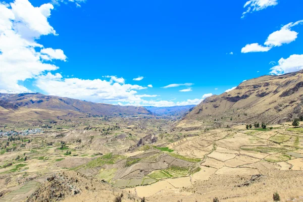 Beau paysage dans les Andes — Photo