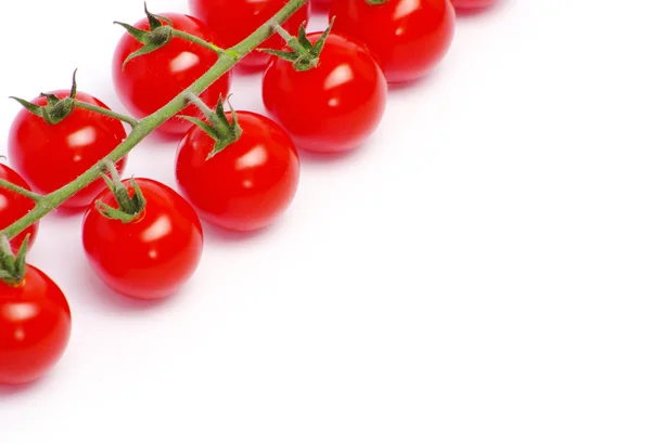 Стиглі помідори з зеленим листям — стокове фото