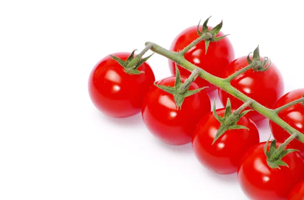 Ripe tomatoes with green leaves — Stock Photo, Image