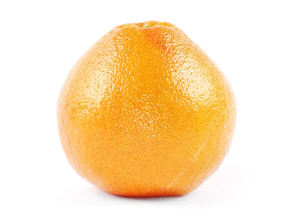 Toranja fresca madura — Fotografia de Stock