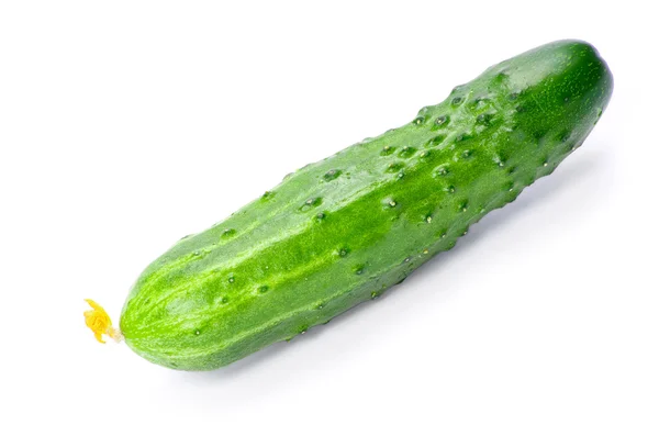 Fresh green cucumber — Stock Photo, Image