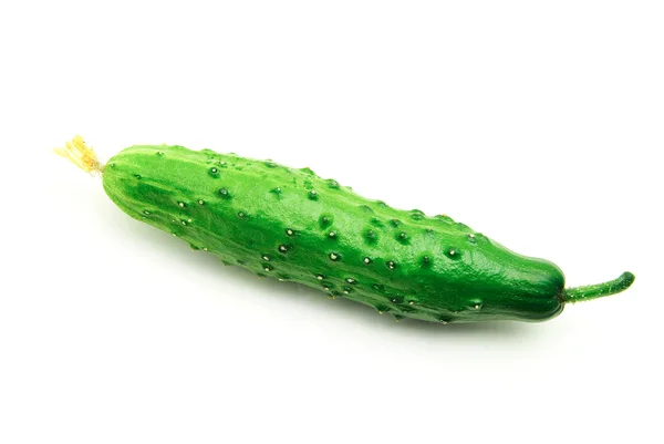 Fresh green cucumber — Stock Photo, Image