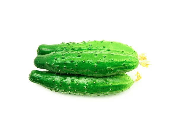 Fresh green cucumbers — Stock Photo, Image